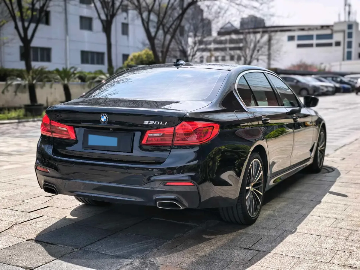 2020 BMW 5 Series 2.0T 252HP L4 8AT,autocango,china used car exporter,china ev exporter,chinese used car exporter,chinese used ev exporter