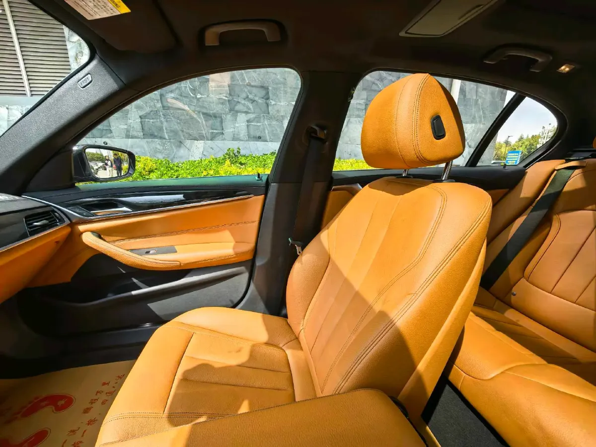 2020 BMW 5 Series 2.0T 252HP L4 8AT,autocango,china used car exporter,china ev exporter,chinese used car exporter,chinese used ev exporter