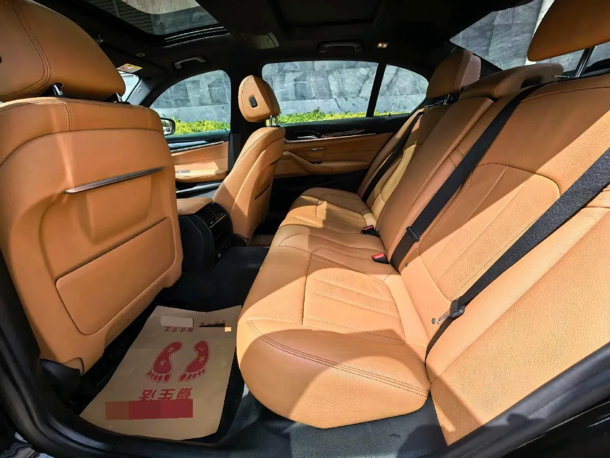 2020 BMW 5 Series 2.0T 252HP L4 8AT,autocango,china used car exporter,china ev exporter,chinese used car exporter,chinese used ev exporter