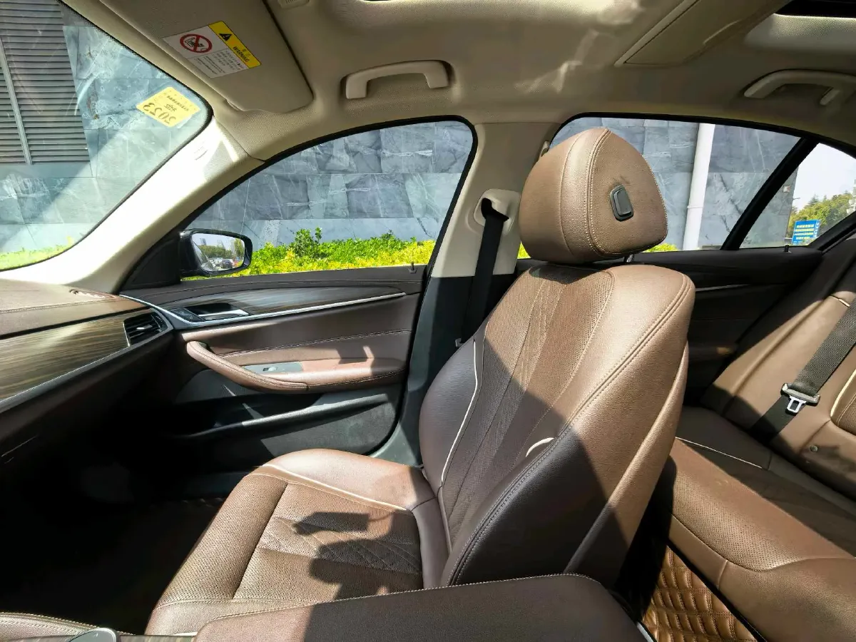 2021 BMW 5 Series 2.0T 184HP L4 8AT PHEV 17.7KWH,autocango,china used car exporter,china ev exporter,chinese used car exporter,chinese used ev exporter