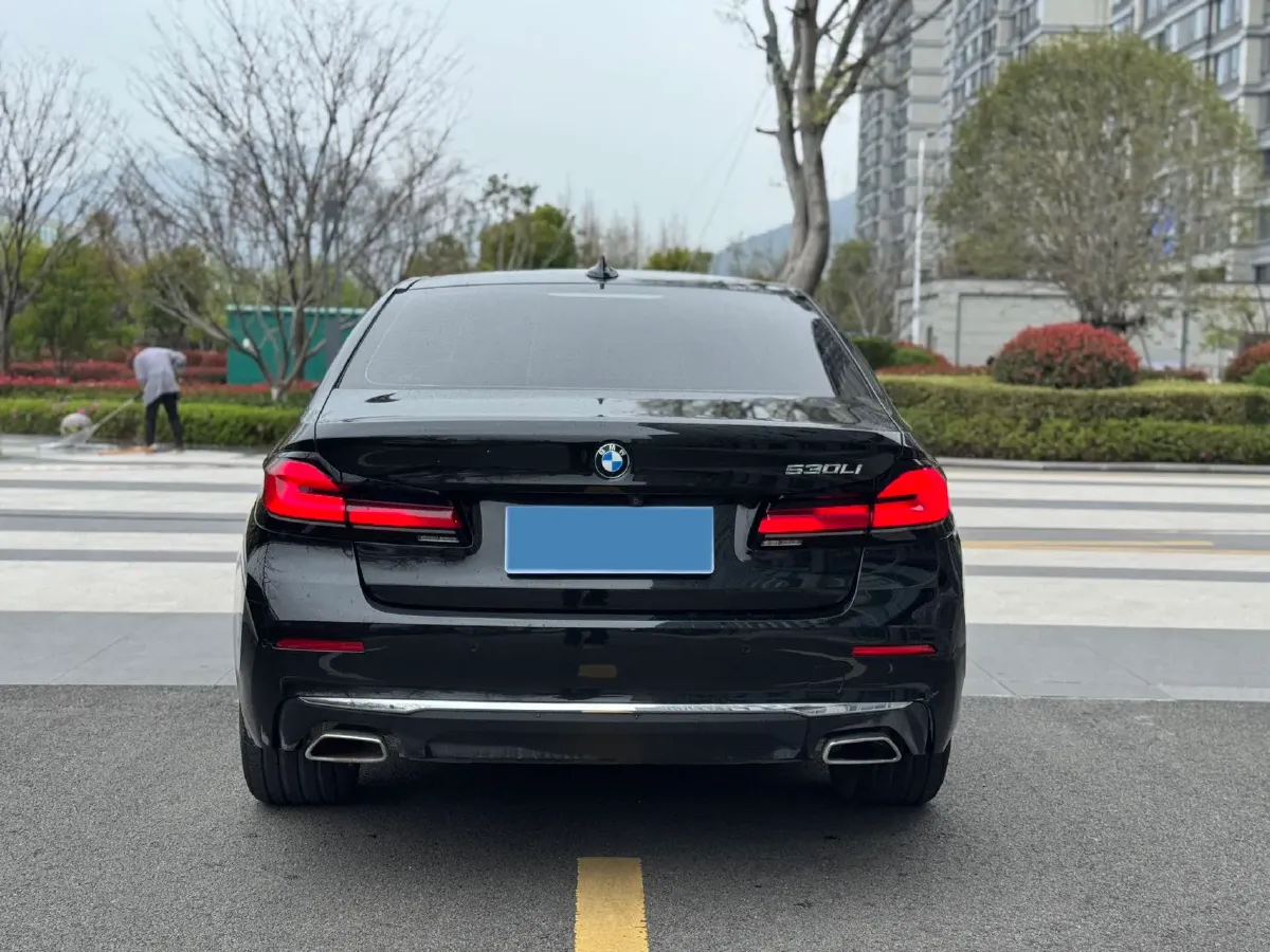 2021 BMW 5 Series 2.0T 252HP L4 8AT,autocango,china used car exporter,china ev exporter,chinese used car exporter,chinese used ev exporter