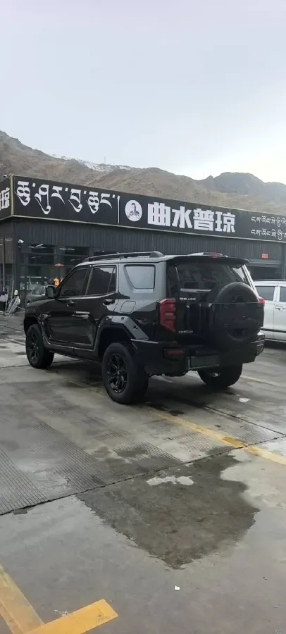 2024 Tank 400 2.0T 252HP L4 9AT PHEV 36.7/37.1KWH,autocango,china used car exporter,china ev exporter,chinese used car exporter,chinese used ev exporter