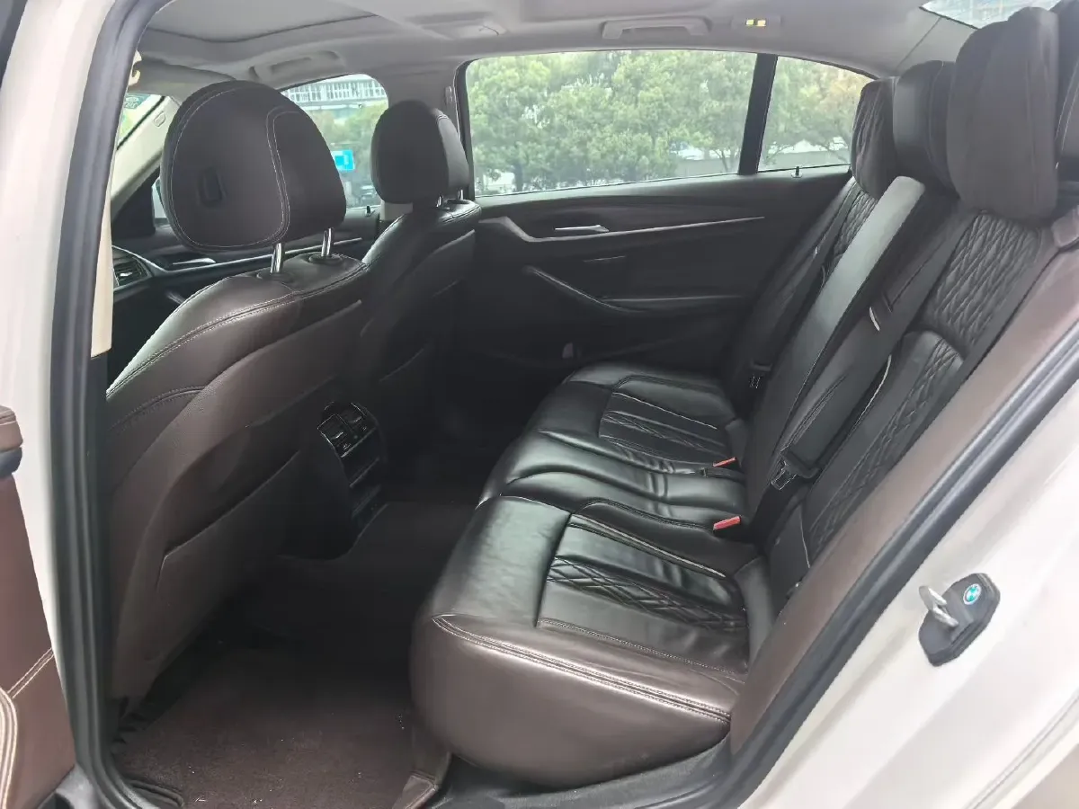 2020 BMW 5 Series 2.0T 252HP L4 8AT,autocango,china used car exporter,china ev exporter,chinese used car exporter,chinese used ev exporter