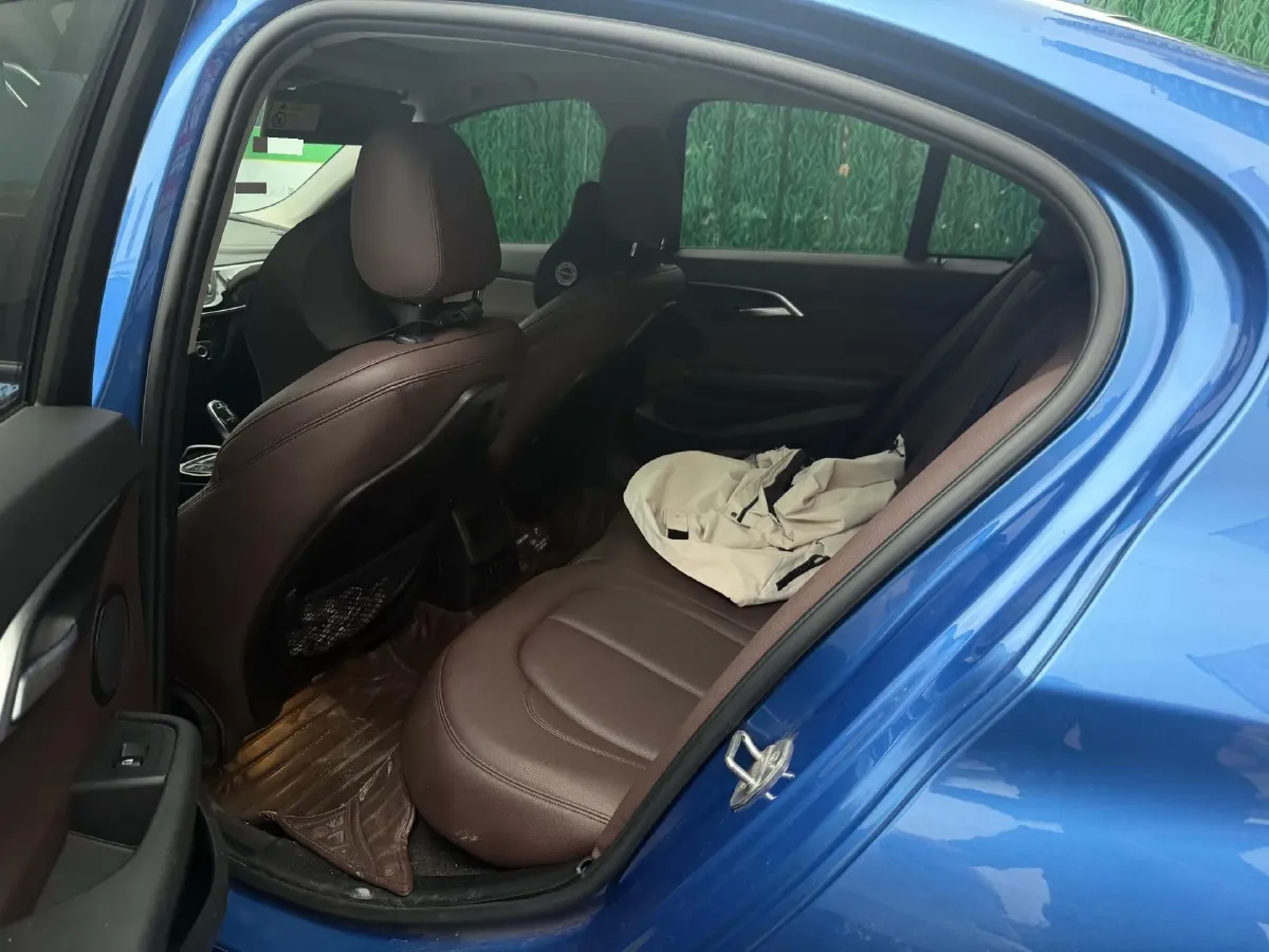 2020 BMW 1 Series 2.0T 192HP L4 7DCT,autocango,china used car exporter,china ev exporter,chinese used car exporter,chinese used ev exporter