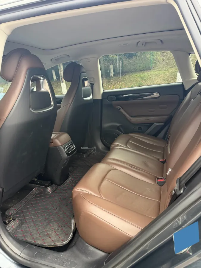 2023 Leapmotor C11 Range Extended 131HP REEV 30.1KWH,autocango,china used car exporter,china ev exporter,chinese used car exporter,chinese used ev exporter