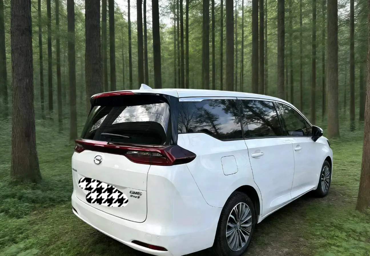 2019 GAC Trumpchi M6 1.5T 171HP L4 6AT,autocango,china used car exporter,china ev exporter,chinese used car exporter,chinese used ev exporter