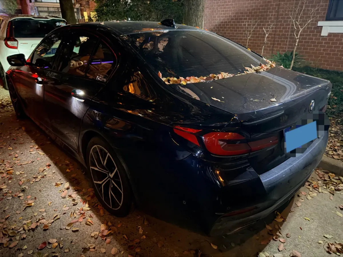 2021 BMW 5 Series 2.0T 252HP L4 8AT,autocango,china used car exporter,china ev exporter,chinese used car exporter,chinese used ev exporter