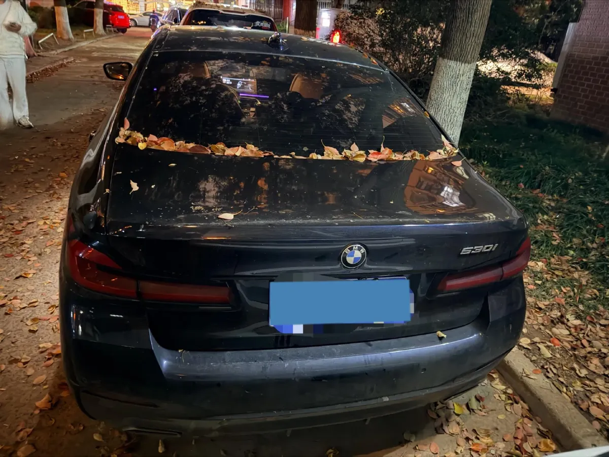 2021 BMW 5 Series 2.0T 252HP L4 8AT,autocango,china used car exporter,china ev exporter,chinese used car exporter,chinese used ev exporter