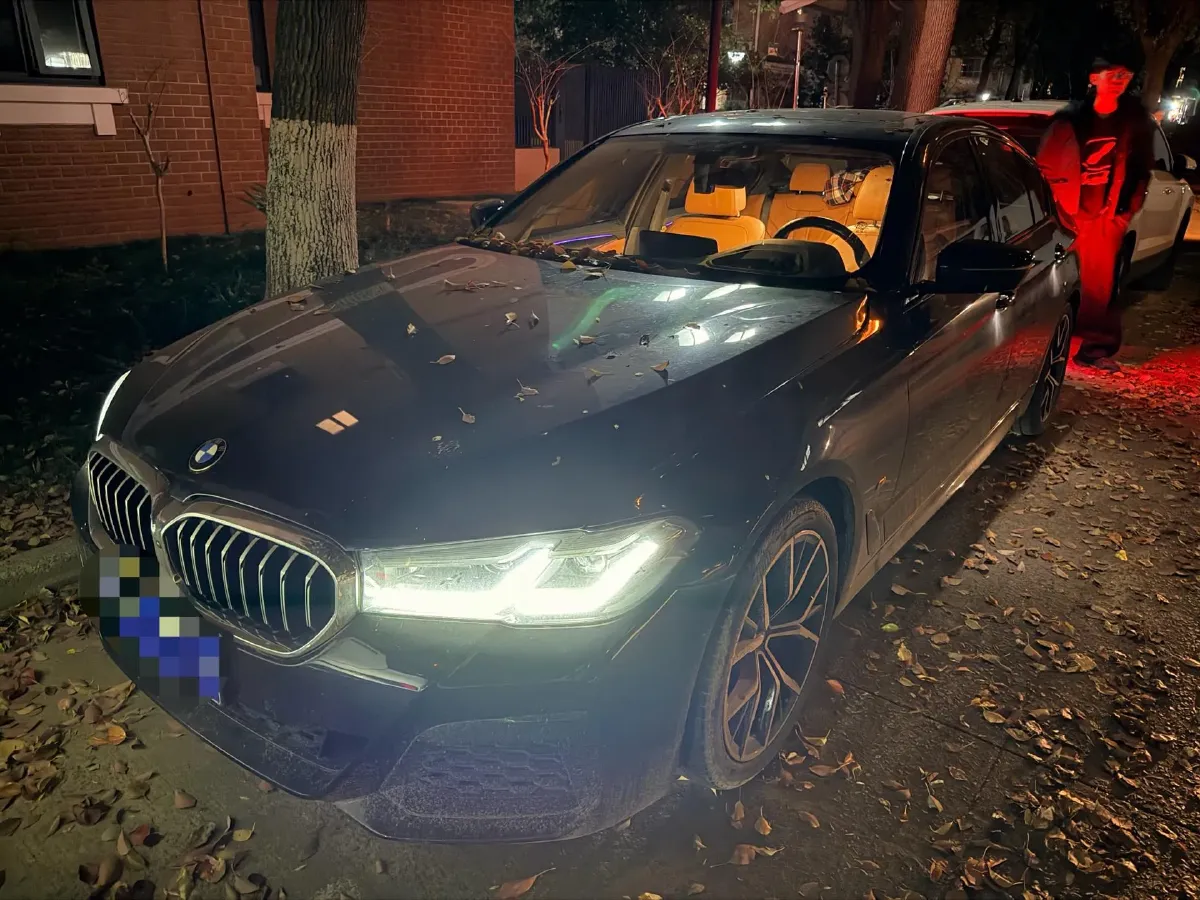 2021 BMW 5 Series 2.0T 252HP L4 8AT,autocango,china used car exporter,china ev exporter,chinese used car exporter,chinese used ev exporter