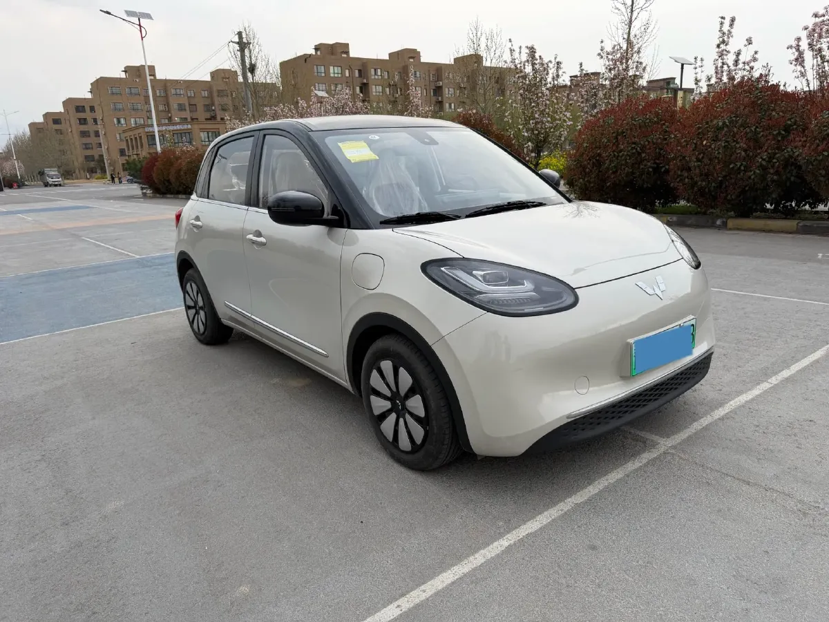 2023 WuLing BinGuo BEV 17.3KWH,autocango,china used car exporter,china ev exporter,chinese used car exporter,chinese used ev exporter