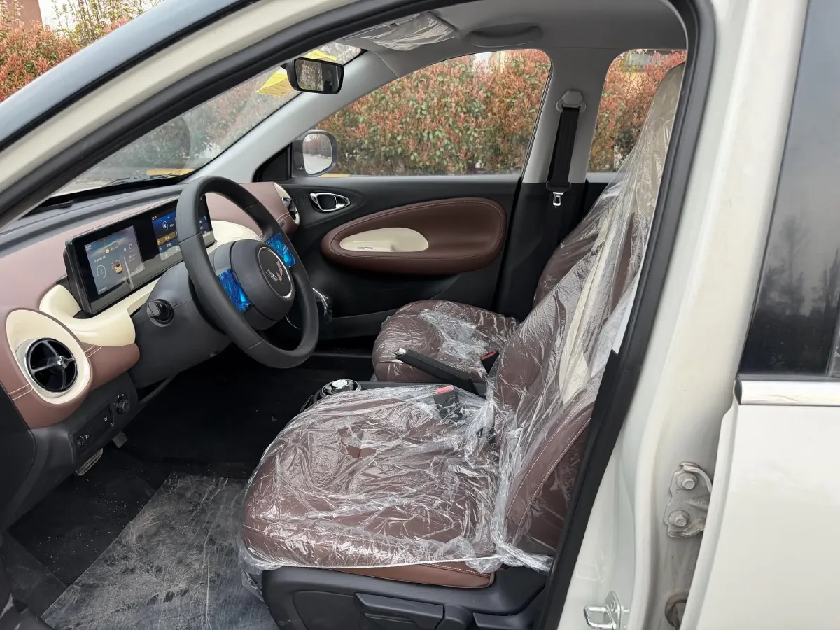 2023 WuLing BinGuo BEV 17.3KWH,autocango,china used car exporter,china ev exporter,chinese used car exporter,chinese used ev exporter