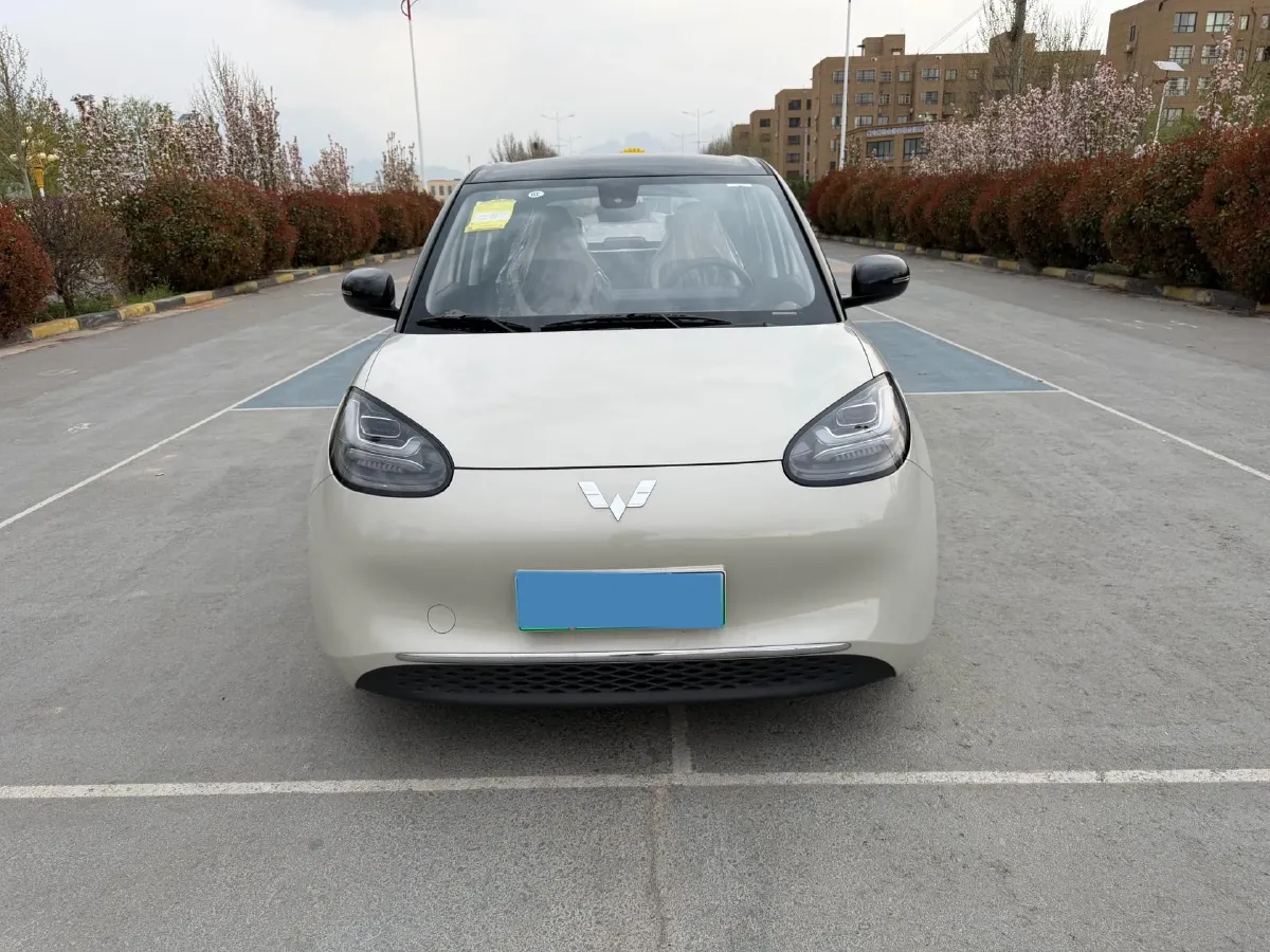 2023 WuLing BinGuo BEV 17.3KWH,autocango,china used car exporter,china ev exporter,chinese used car exporter,chinese used ev exporter