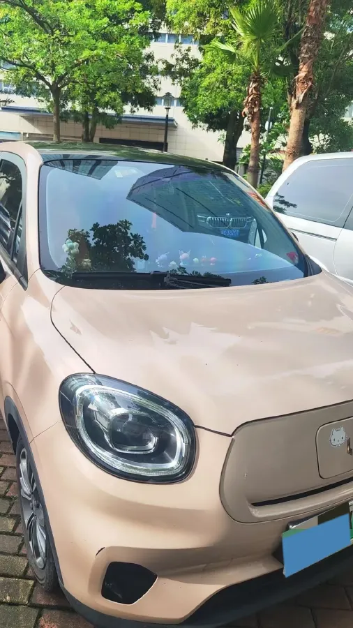 2021 Leapmotor T03 BEV 41KWH,autocango,china used car exporter,china ev exporter,chinese used car exporter,chinese used ev exporter