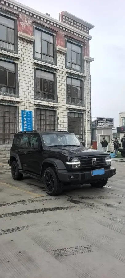 2024 Tank 300 2.0T 227HP L4 8AT,autocango,china used car exporter,china ev exporter,chinese used car exporter,chinese used ev exporter