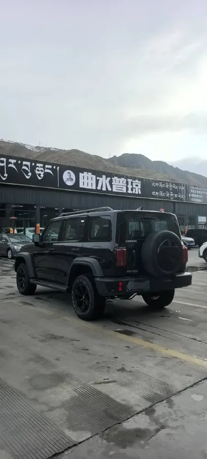 2024 Tank 300 2.0T 227HP L4 8AT,autocango,china used car exporter,china ev exporter,chinese used car exporter,chinese used ev exporter