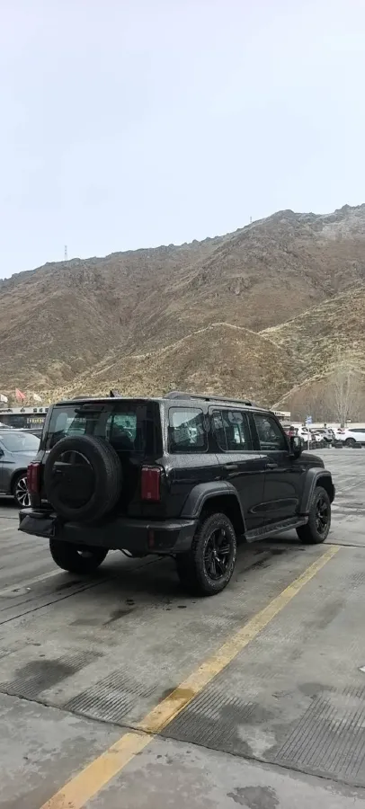 2024 Tank 300 2.0T 227HP L4 8AT,autocango,china used car exporter,china ev exporter,chinese used car exporter,chinese used ev exporter