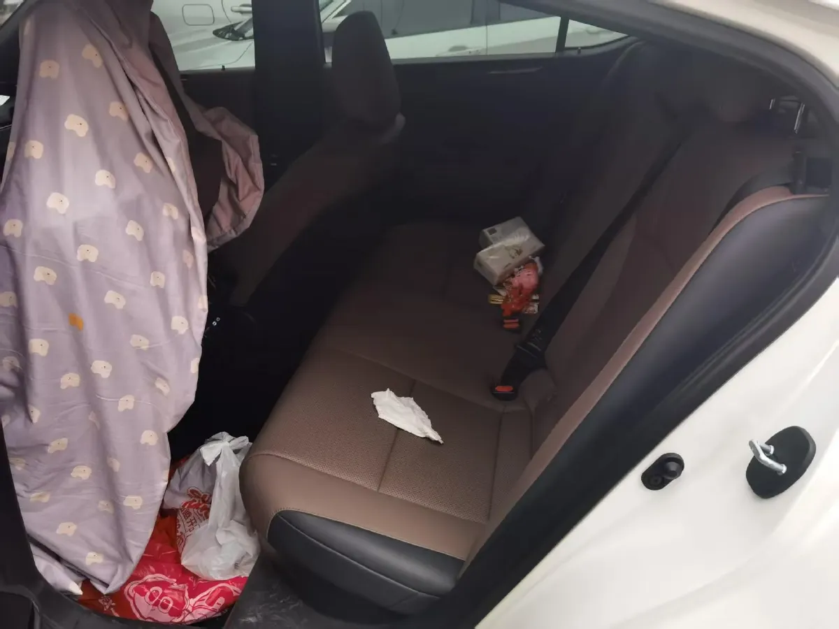 2021 Lexus ES 2.5L 178HP L4 E-CVT Hybrid,autocango,china used car exporter,china ev exporter,chinese used car exporter,chinese used ev exporter