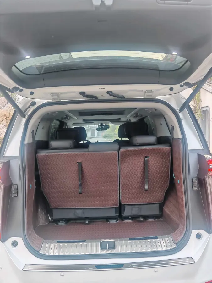 2024 GAC Trumpchi M8 2.0T 252HP L4 8AT,autocango,china used car exporter,china ev exporter,chinese used car exporter,chinese used ev exporter