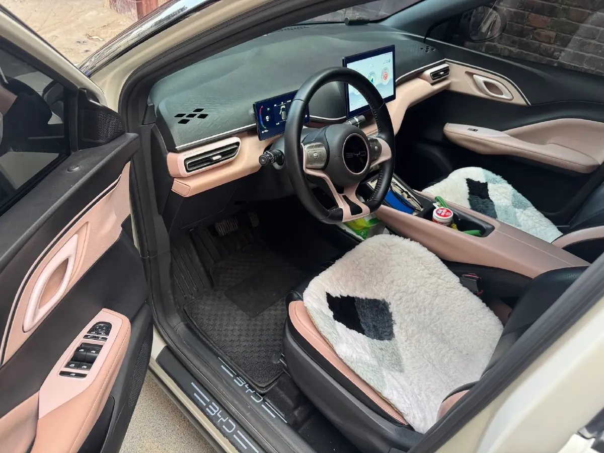 2023 BYD Seagull BEV 30.08KWH,autocango,china used car exporter,china ev exporter,chinese used car exporter,chinese used ev exporter