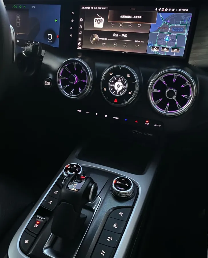 2021 Tank 300 2.0T 227HP L4 8AT,autocango,china used car exporter,china ev exporter,chinese used car exporter,chinese used ev exporter