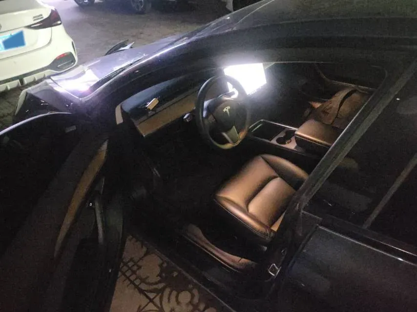 2021 Tesla Model 3 BEV 55KWH,autocango,china used car exporter,china ev exporter,chinese used car exporter,chinese used ev exporter