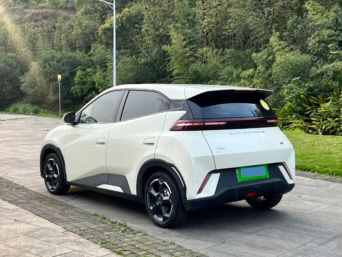 2023 BYD Seagull BEV 30.08KWH,autocango,china used car exporter,china ev exporter,chinese used car exporter,chinese used ev exporter