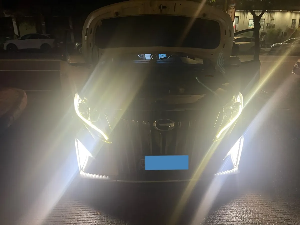 2021 GAC Trumpchi M8 2.0T 252HP L4 8AT,autocango,china used car exporter,china ev exporter,chinese used car exporter,chinese used ev exporter