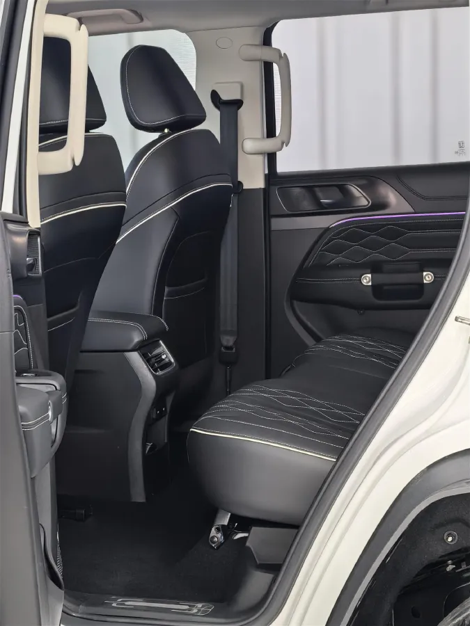 2021 Tank 300 2.0T 227HP L4 8AT,autocango,china used car exporter,china ev exporter,chinese used car exporter,chinese used ev exporter