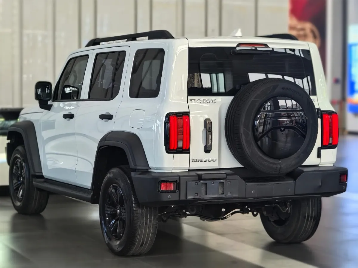 2021 Tank 300 2.0T 227HP L4 8AT,autocango,china used car exporter,china ev exporter,chinese used car exporter,chinese used ev exporter