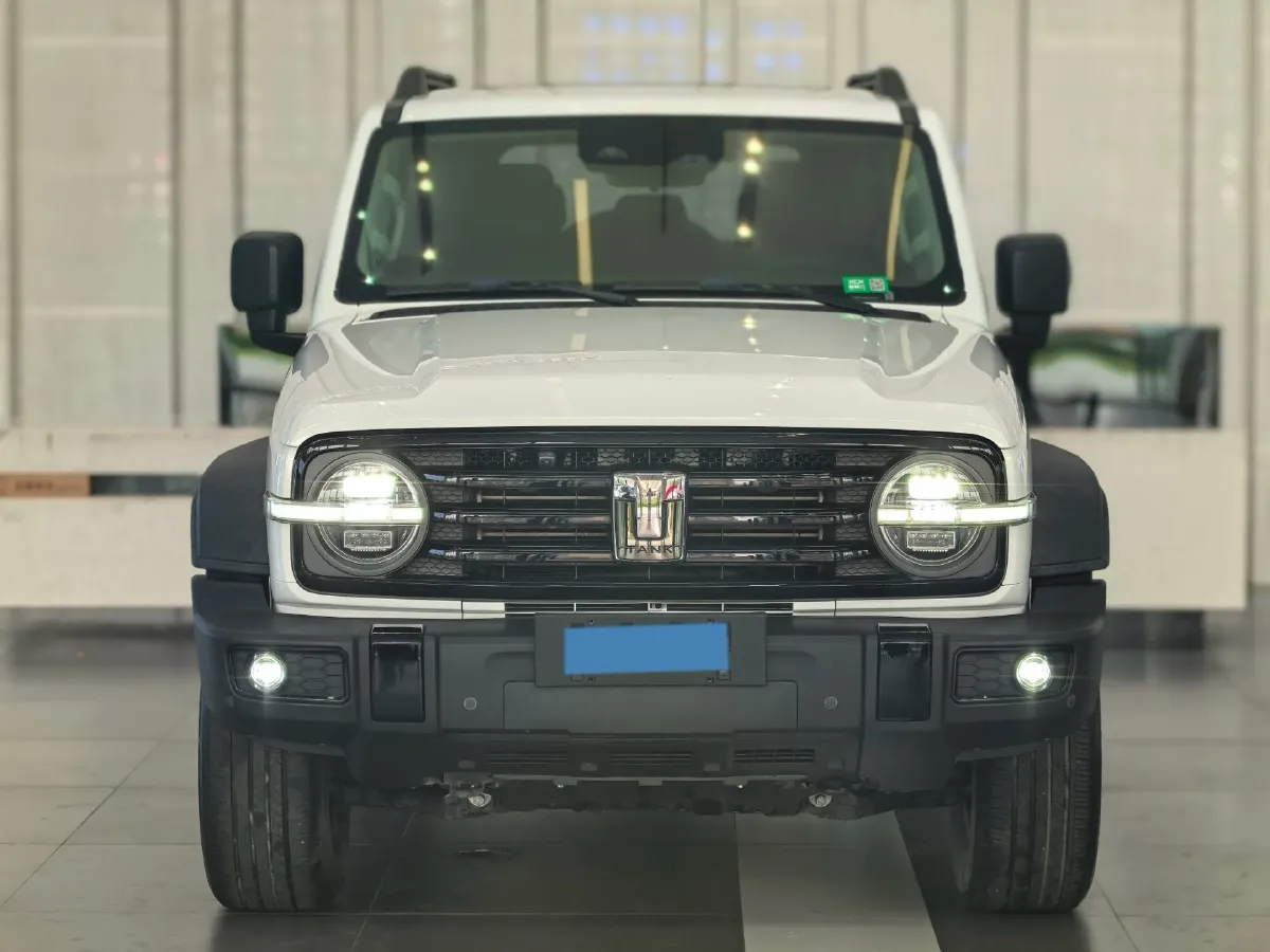 2021 Tank 300 2.0T 227HP L4 8AT,autocango,china used car exporter,china ev exporter,chinese used car exporter,chinese used ev exporter