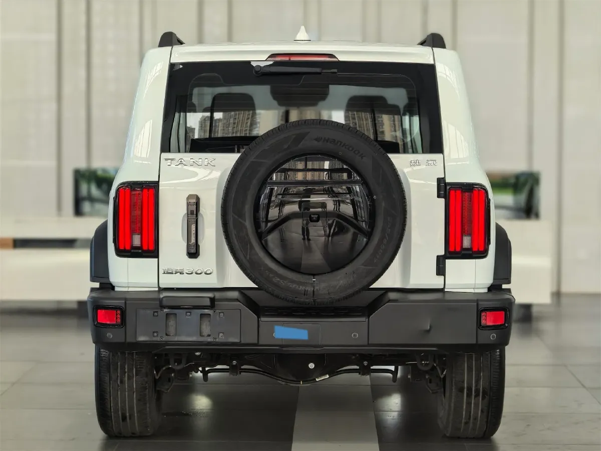 2021 Tank 300 2.0T 227HP L4 8AT,autocango,china used car exporter,china ev exporter,chinese used car exporter,chinese used ev exporter
