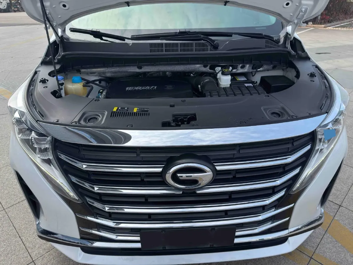 2023 GAC Trumpchi M8 2.0T 252HP L4 8AT,autocango,china used car exporter,china ev exporter,chinese used car exporter,chinese used ev exporter