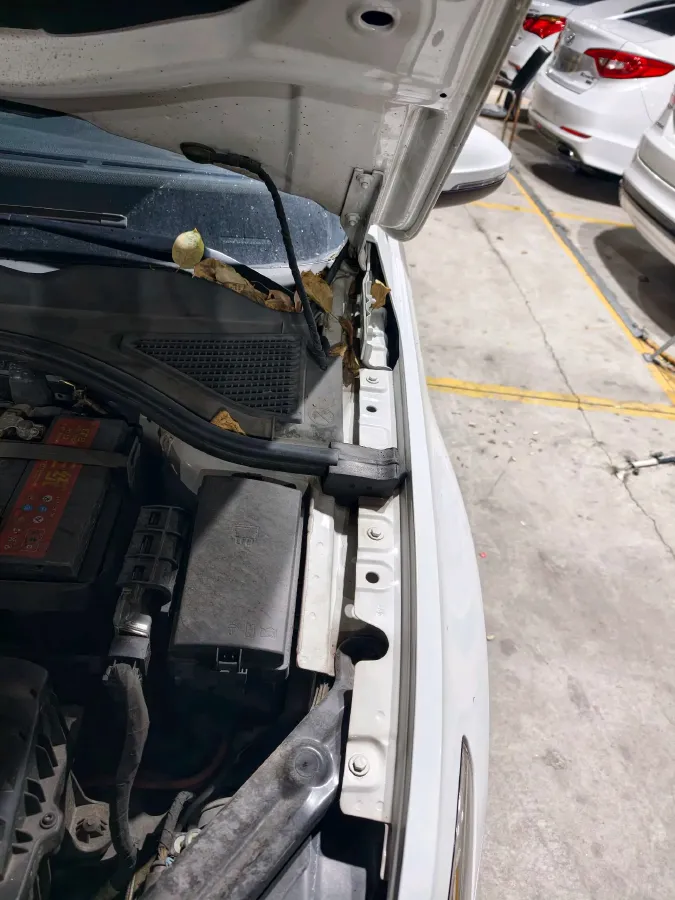 2020 Volkswagen Bora 1.5L 113HP L4 6AT,autocango,china used car exporter,china ev exporter,chinese used car exporter,chinese used ev exporter