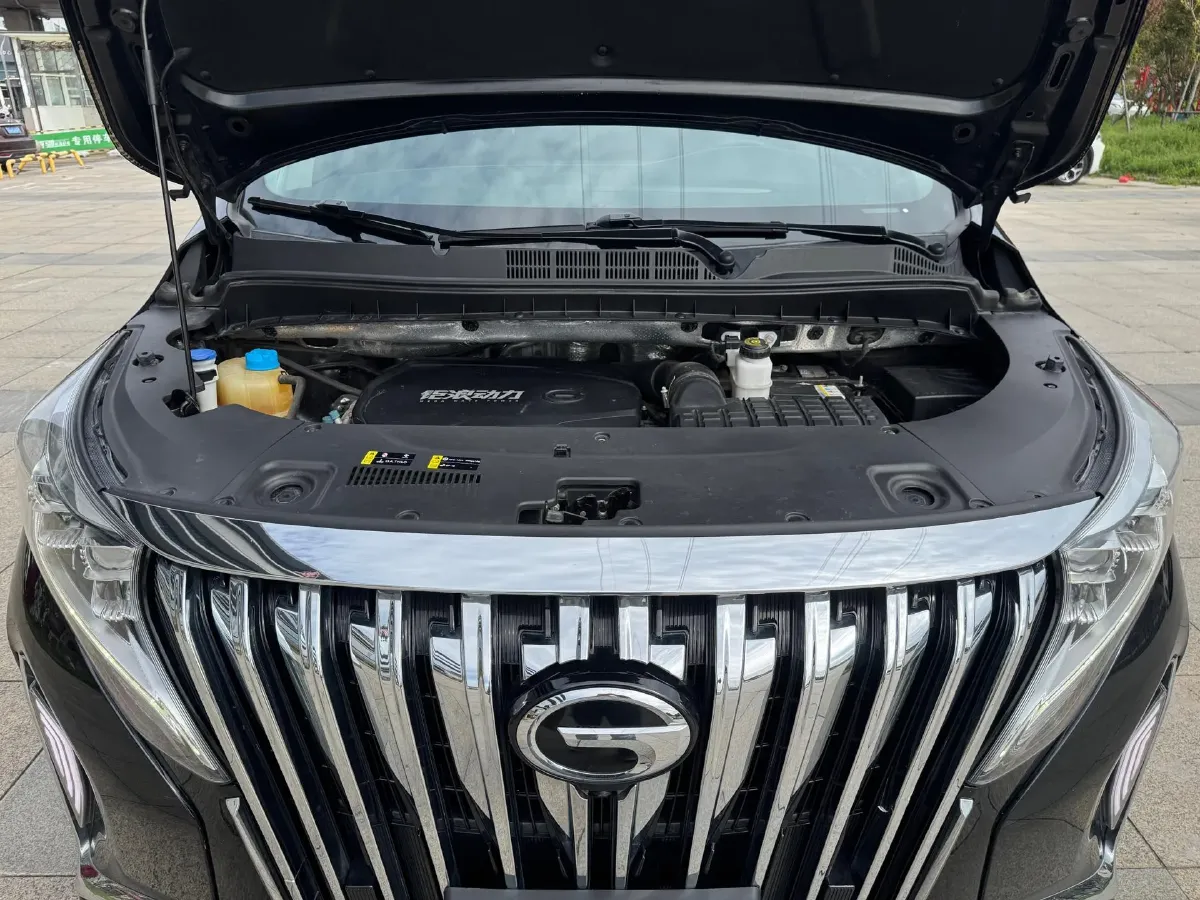 2021 GAC Trumpchi M8 2.0T 252HP L4 8AT,autocango,china used car exporter,china ev exporter,chinese used car exporter,chinese used ev exporter