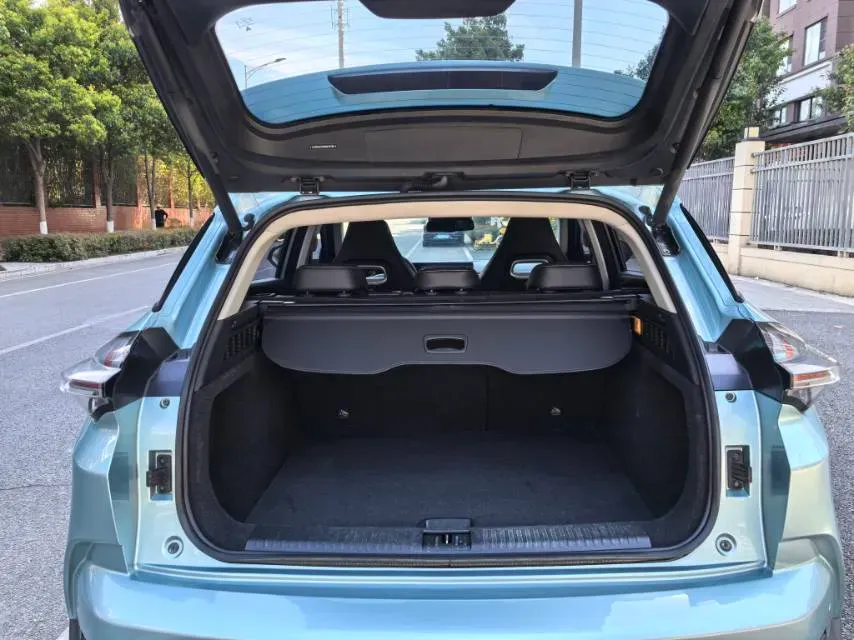 2021 Great Wall Poer 2.0T 163HP L4 8AT,autocango,china used car exporter,china ev exporter,chinese used car exporter,chinese used ev exporter