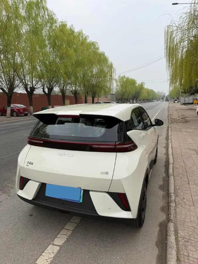 2025 BYD Seagull BEV 30.08KWH,autocango,china used car exporter,china ev exporter,chinese used car exporter,chinese used ev exporter