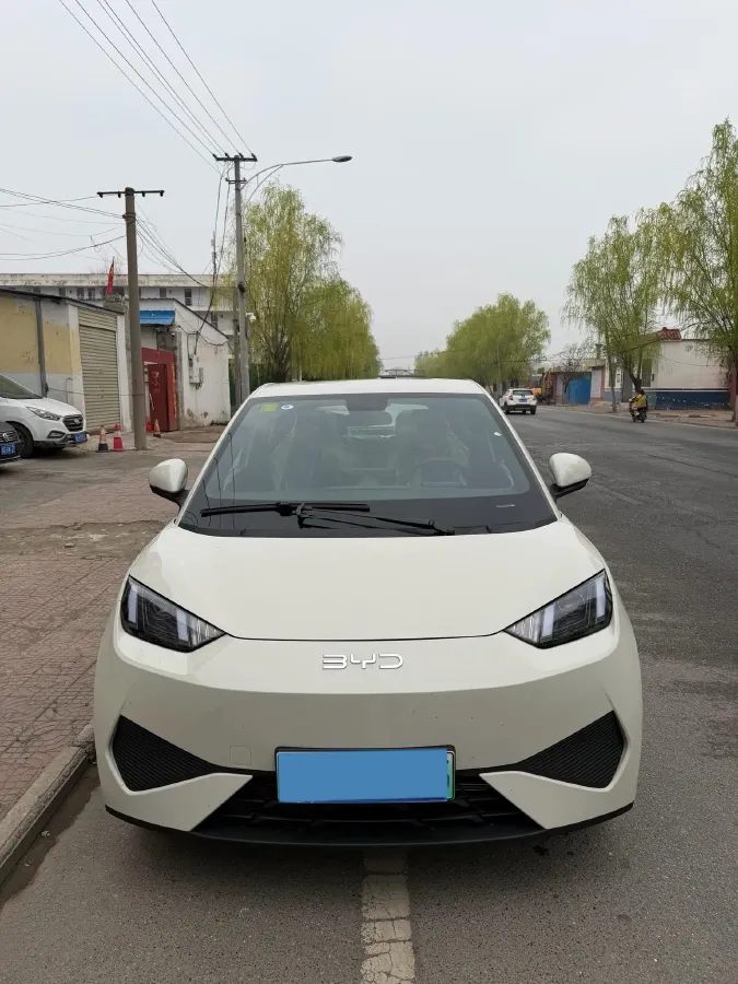 2025 BYD Seagull BEV 30.08KWH,autocango,china used car exporter,china ev exporter,chinese used car exporter,chinese used ev exporter