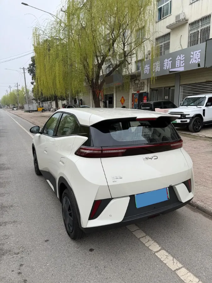 2025 BYD Seagull BEV 30.08KWH,autocango,china used car exporter,china ev exporter,chinese used car exporter,chinese used ev exporter