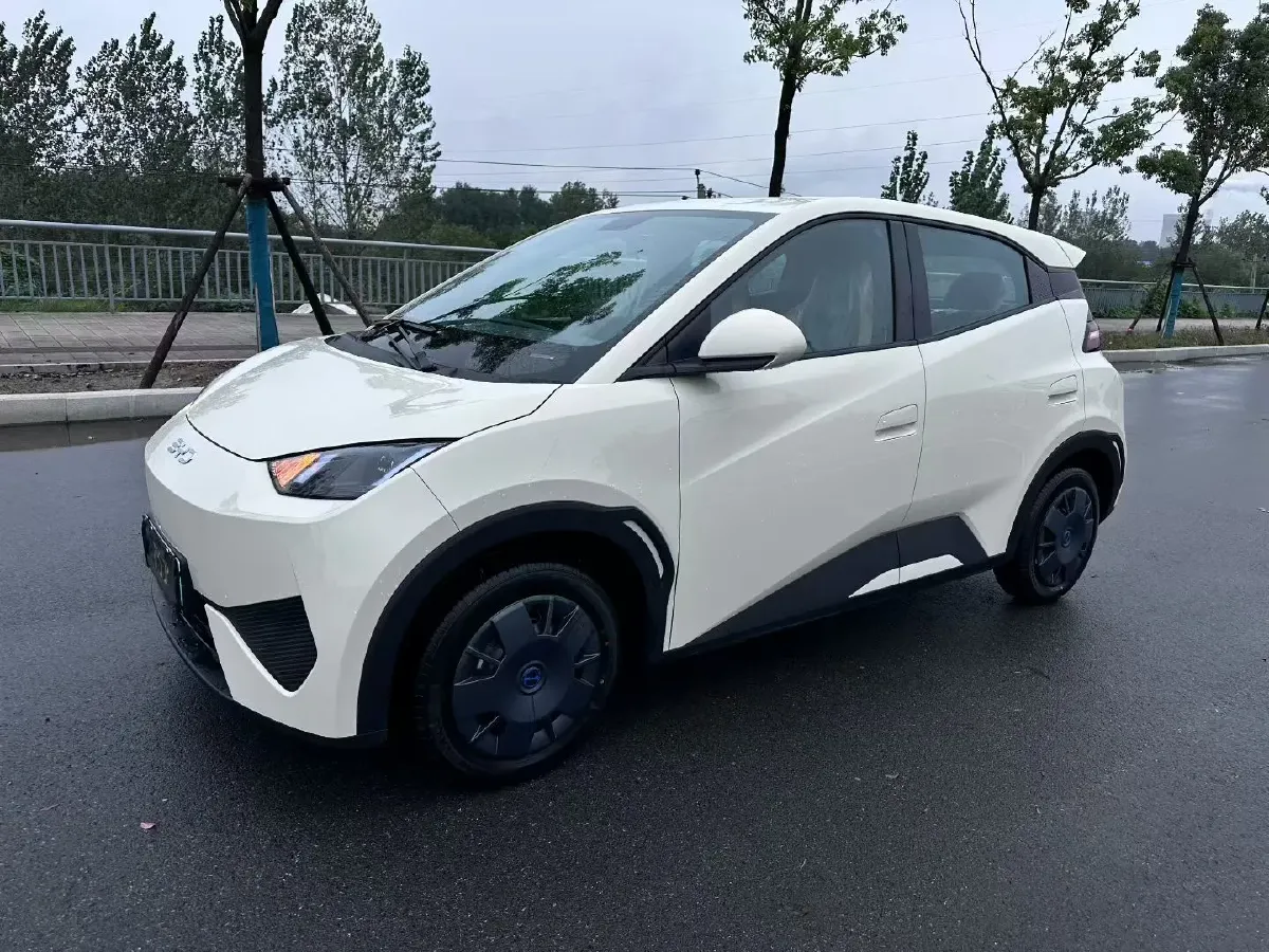 2025 BYD Seagull BEV 30.08KWH,autocango,china used car exporter,china ev exporter,chinese used car exporter,chinese used ev exporter