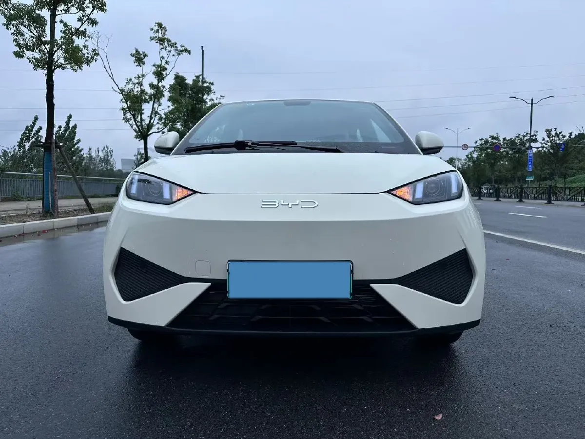 2025 BYD Seagull BEV 30.08KWH,autocango,china used car exporter,china ev exporter,chinese used car exporter,chinese used ev exporter