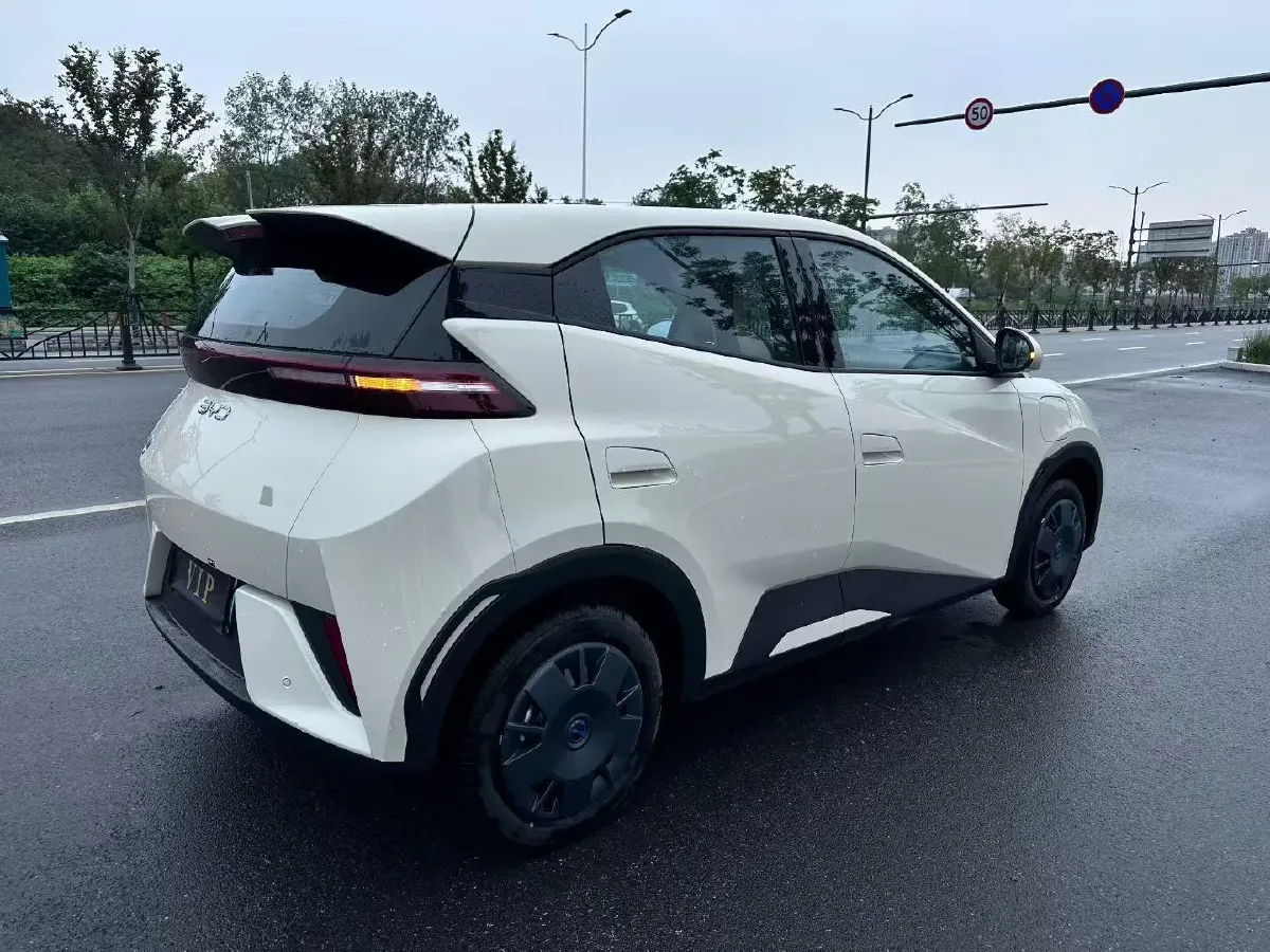 2025 BYD Seagull BEV 30.08KWH,autocango,china used car exporter,china ev exporter,chinese used car exporter,chinese used ev exporter