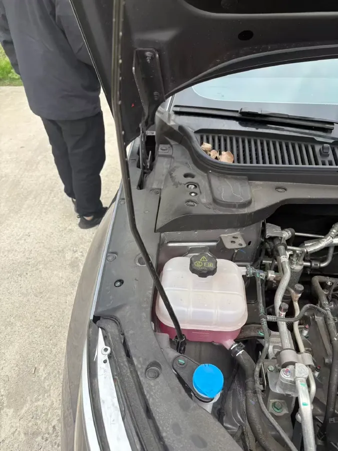 2024 BYD QinL 1.5L 101HP L4 E-CVT PHEV 15.87KWH,autocango,china used car exporter,china ev exporter,chinese used car exporter,chinese used ev exporter