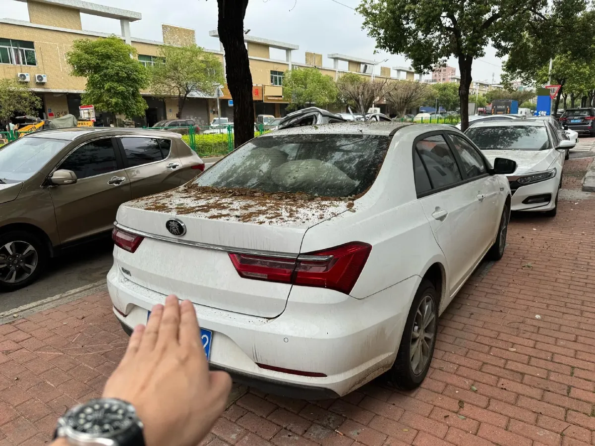 2019 BYD Qin 1.5L 109HP L4 CVT,autocango,china used car exporter,china ev exporter,chinese used car exporter,chinese used ev exporter