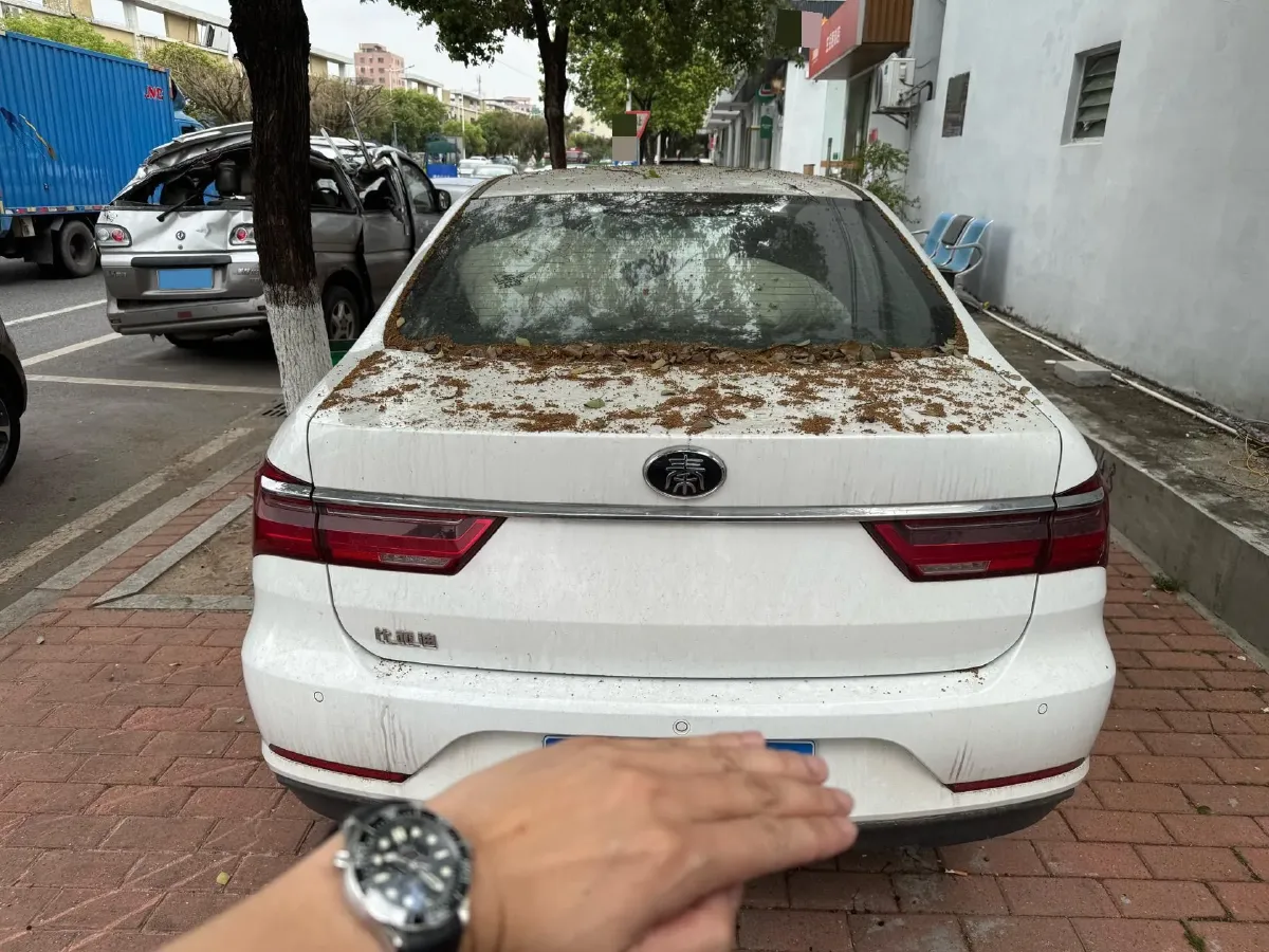 2019 BYD Qin 1.5L 109HP L4 CVT,autocango,china used car exporter,china ev exporter,chinese used car exporter,chinese used ev exporter