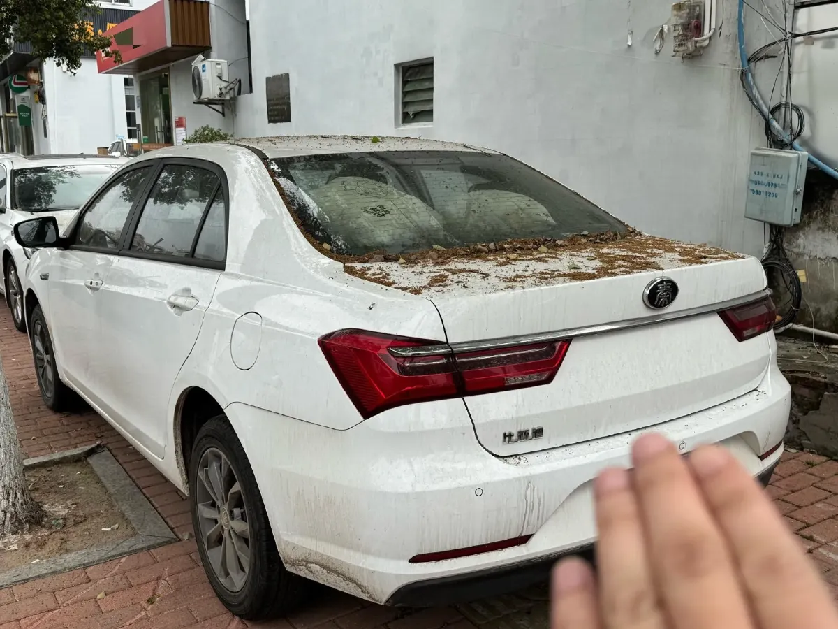 2019 BYD Qin 1.5L 109HP L4 CVT,autocango,china used car exporter,china ev exporter,chinese used car exporter,chinese used ev exporter