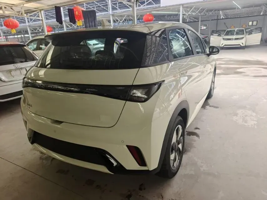 2025 BYD Dolphin BEV 44.928KWH,autocango,china used car exporter,china ev exporter,chinese used car exporter,chinese used ev exporter