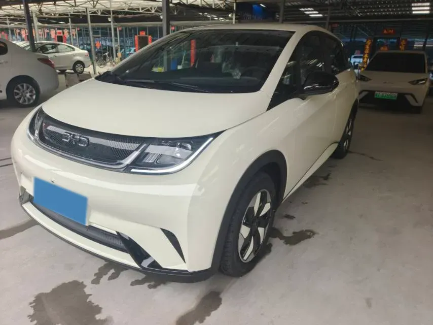 2025 BYD Dolphin BEV 44.928KWH,autocango,china used car exporter,china ev exporter,chinese used car exporter,chinese used ev exporter