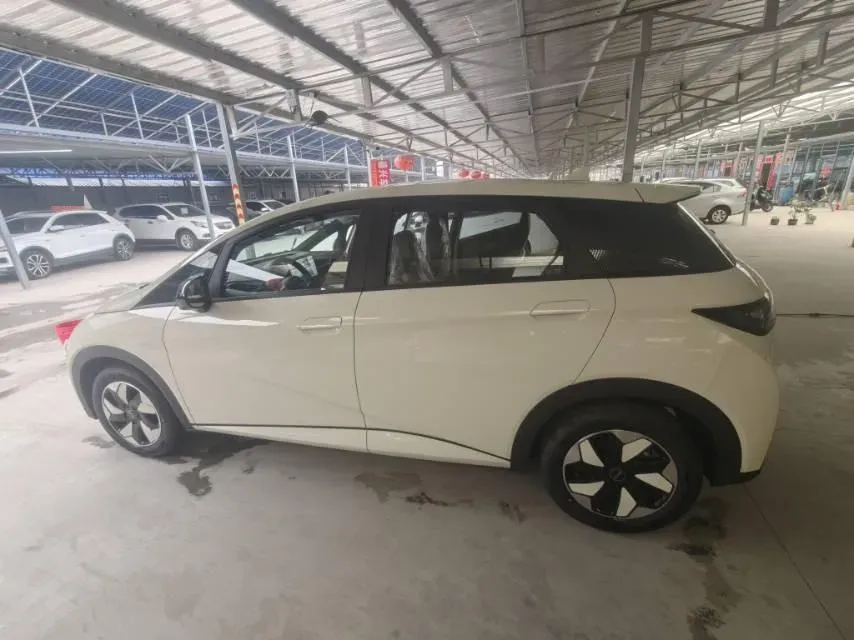 2025 BYD Dolphin BEV 44.928KWH,autocango,china used car exporter,china ev exporter,chinese used car exporter,chinese used ev exporter