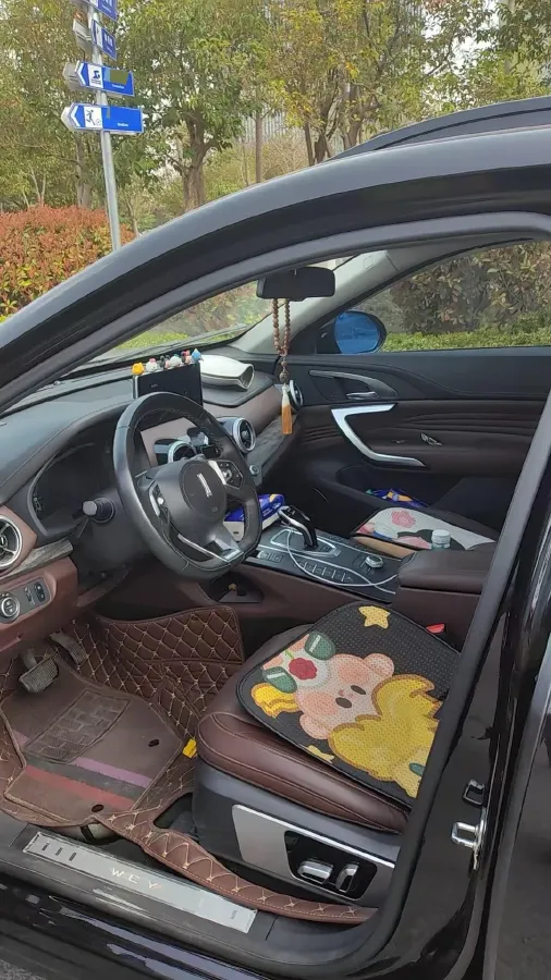 2019 WEY VV7 2.0T 234HP L4 7DCT,autocango,china used car exporter,china ev exporter,chinese used car exporter,chinese used ev exporter