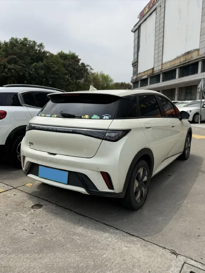 2025 BYD Dolphin BEV 44.928KWH,autocango,china used car exporter,china ev exporter,chinese used car exporter,chinese used ev exporter